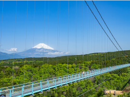 大きな橋と富士山